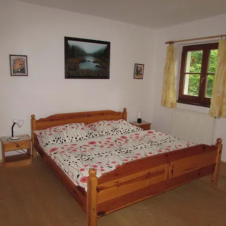 Cenkarna * Rejstejn